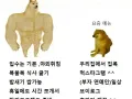 요즘 예능이 노잼인 이유 썸네일